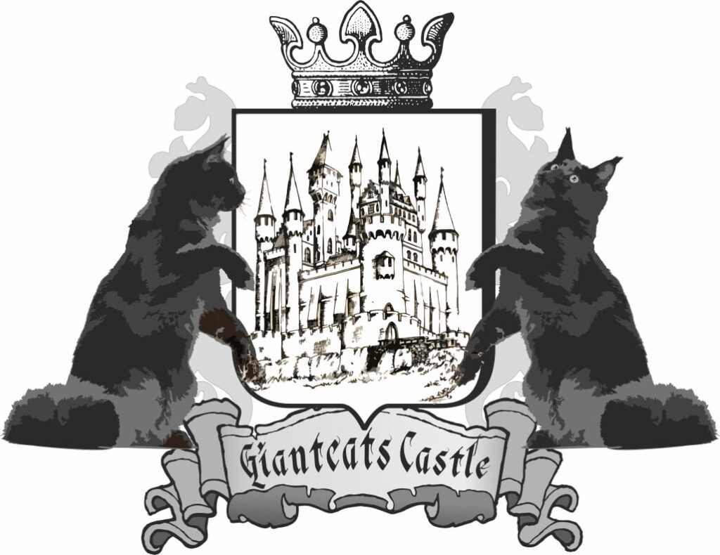 Giantcats Castle Maine Coon Zucht bei Passau